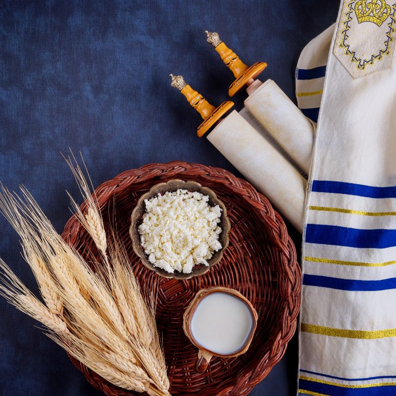 yogurt e prodotti caseari kosher a Milano